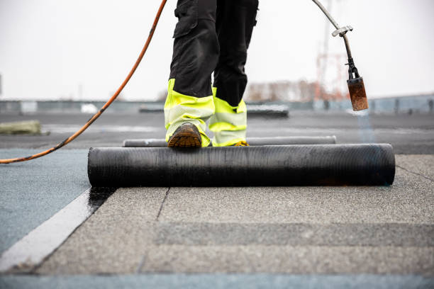 Best Hot Roofs  in Jacksboro, TN